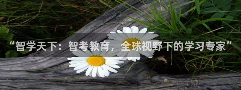 新宝5娱乐登陆