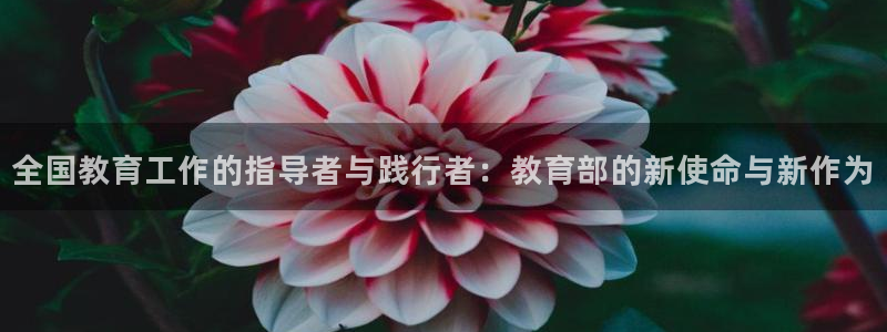 新宝5官网