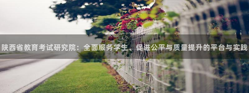 新宝5怎么下载到桌面