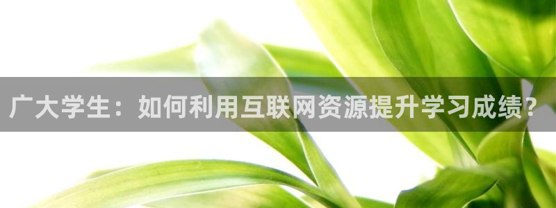 新宝5测速平台登录