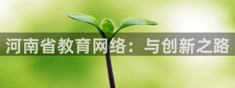 新宝那2O5O5O