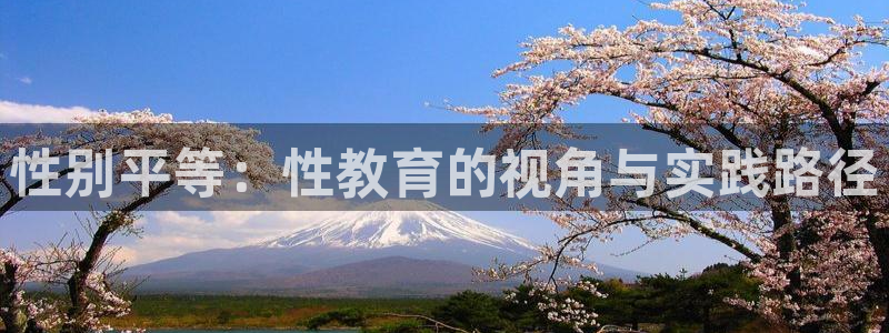 新宝5策略