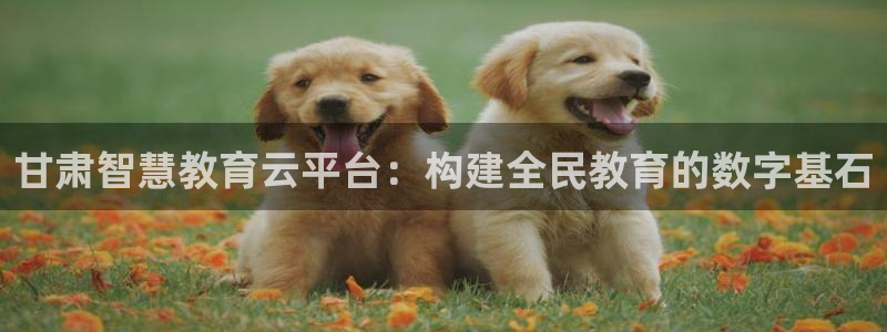 新宝5测速登陆