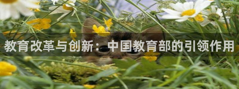 新宝5下载网址