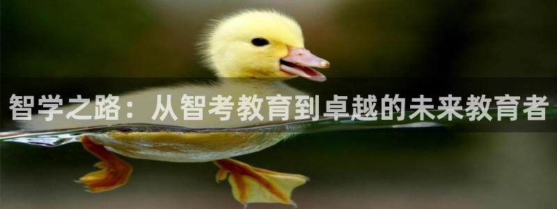 新宝5手机登陆