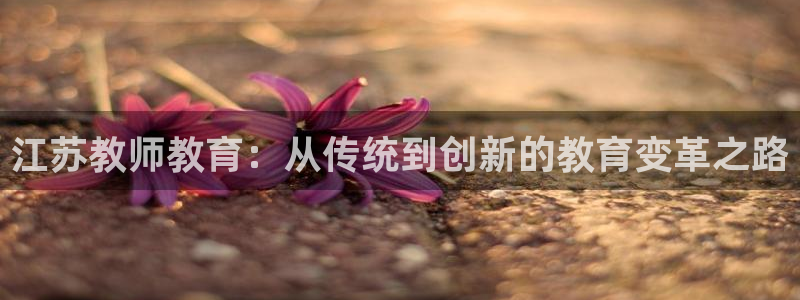 新宝娱乐5