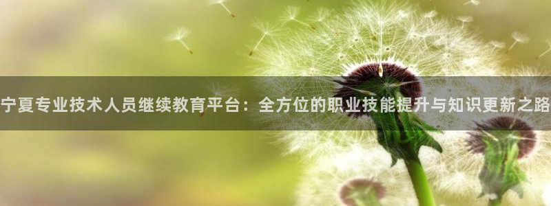 新宝堂新会陈皮5年