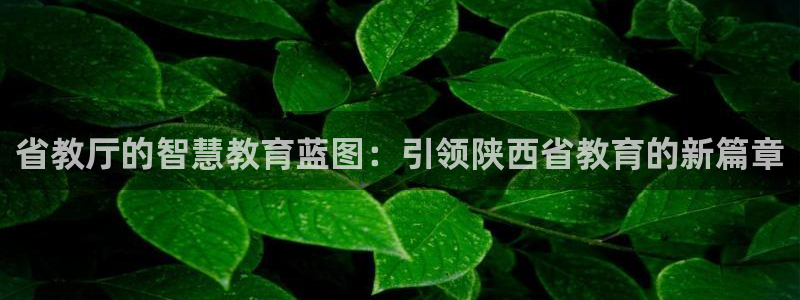 新宝娱乐5入口