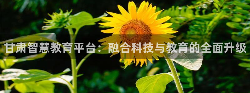 新宝5授权