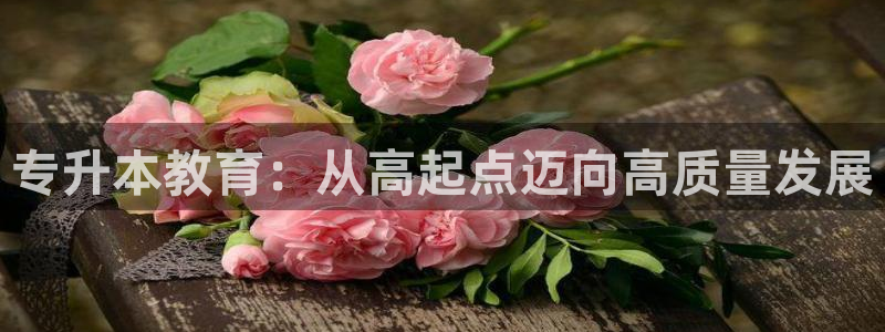 新宝5怎么代理