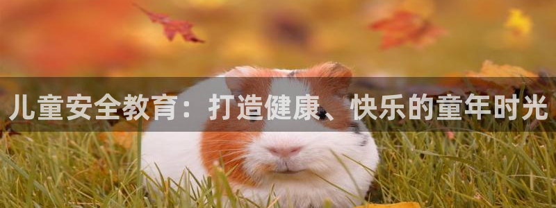 新宝5娱乐没