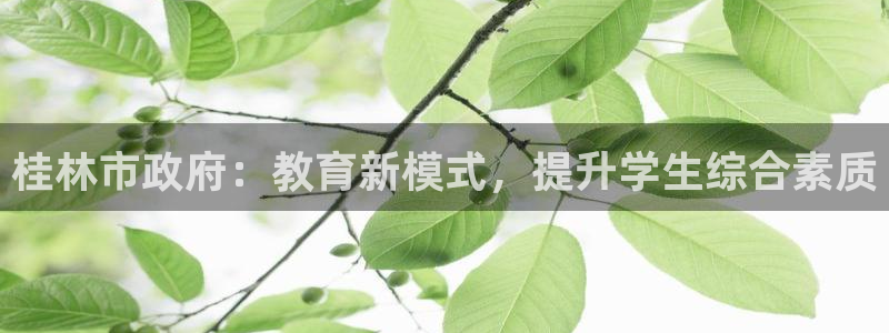 新宝5官网霸