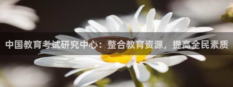 新宝5手机登陆