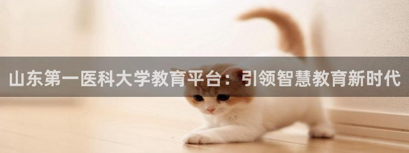 新宝奇迹GG5