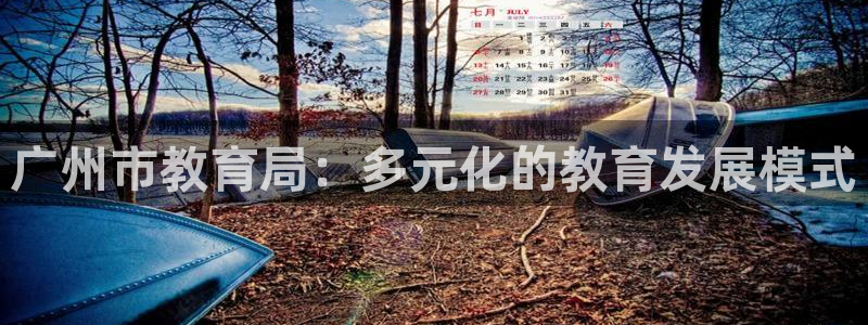 新宝股东瞧听2 5 5