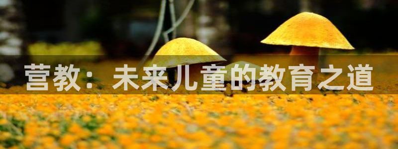 新宝5的网址