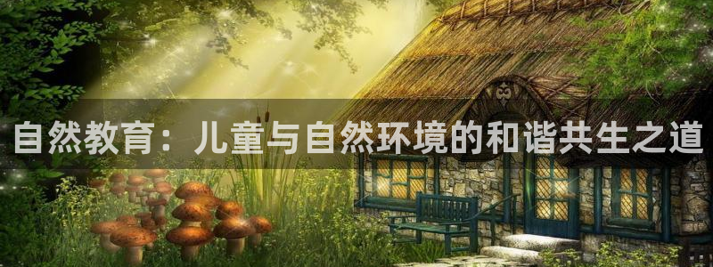 新宝5手机版