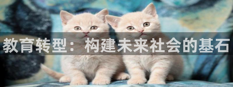 新宝5娱乐主管