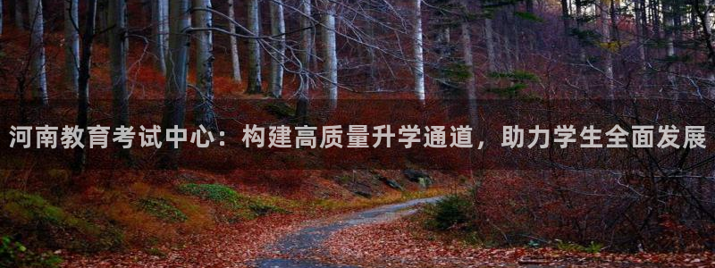 新宝5是什么样子的