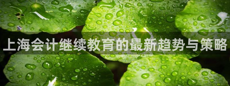 新宝5招商部