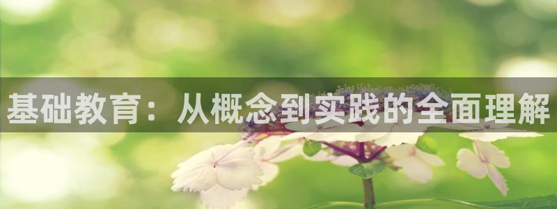 新宝5开户