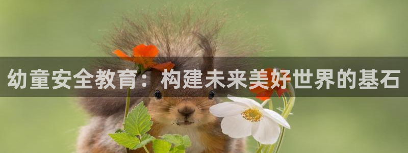 新宝5手机版
