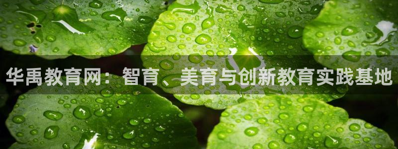 新宝5测试
