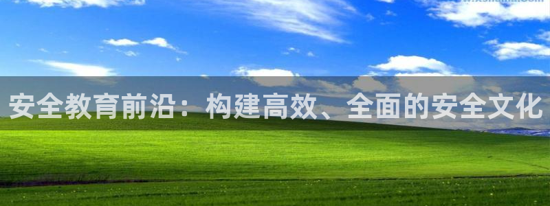 新宝5娱乐学