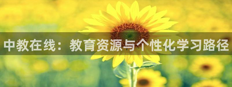 新宝5官方下载地址