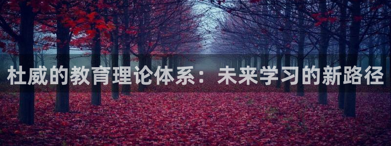 新宝5测速登陆