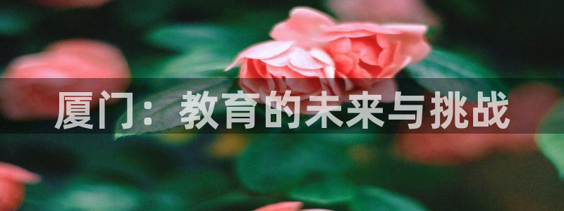 新宝堂新会陈皮5年