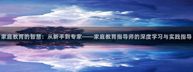 新宝5招商部