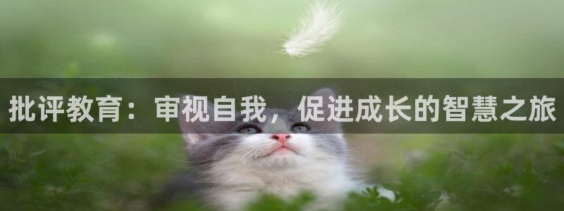 新宝5官方下载地址