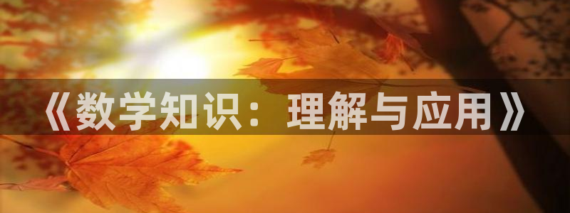 新宝5网