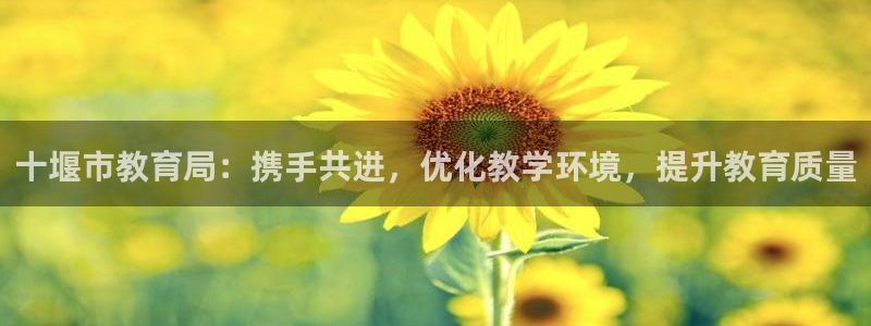 新宝5手机登陆