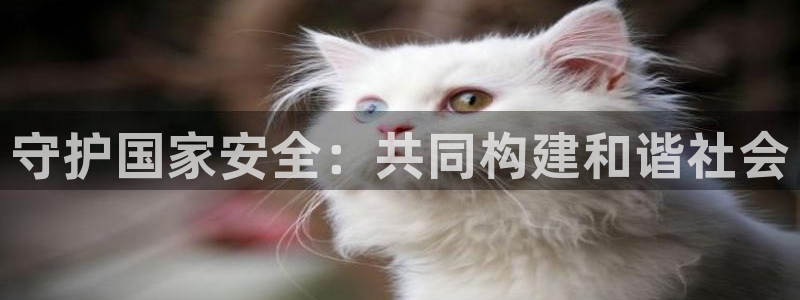 新宝5怎么下载到桌面
