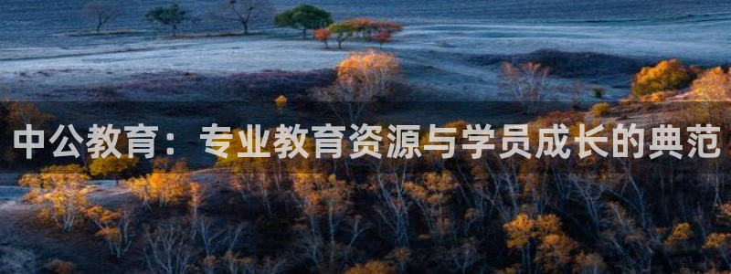 新宝5是什么