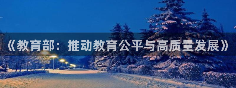 新宝5挂机软件