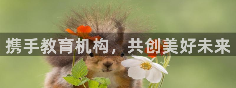 新宝5娱乐平台