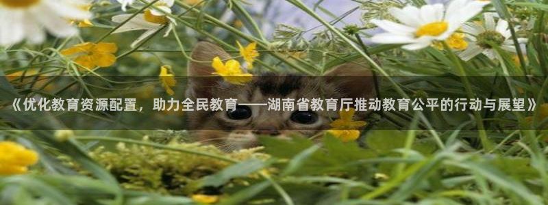 新宝5手机平台登陆