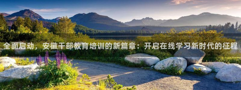 新宝5怎么下载到桌面