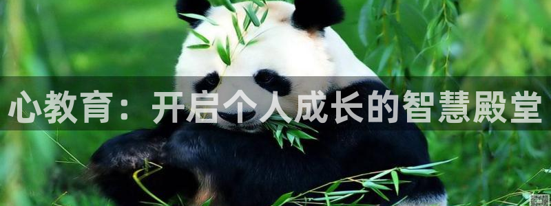 新宝股东王听2 5 5