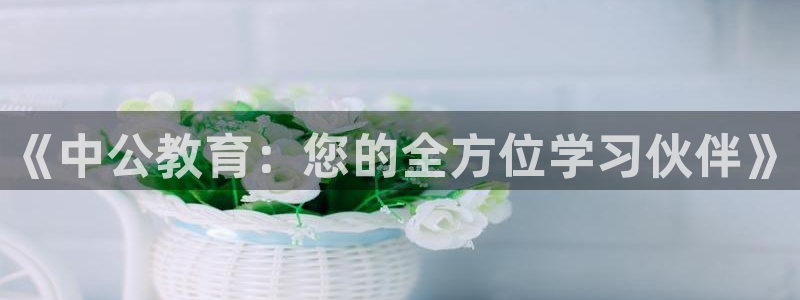 新宝5下载到桌面