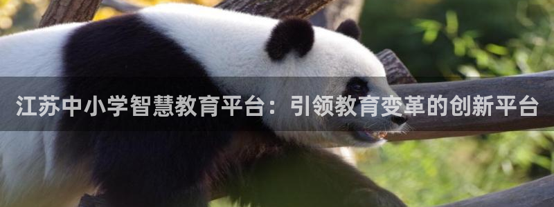 新宝5的网址