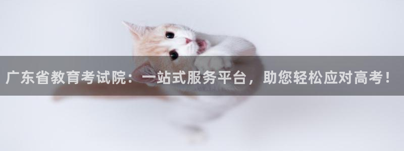 新宝5玩法