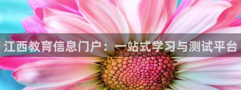 新宝5娱乐如