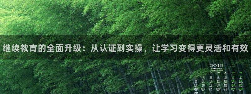 新宝5娱乐多
