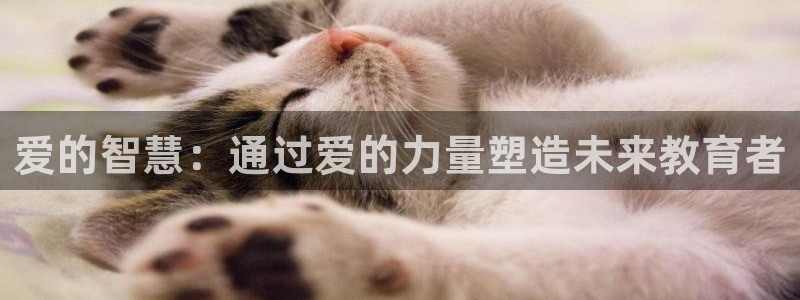 新宝5官网app