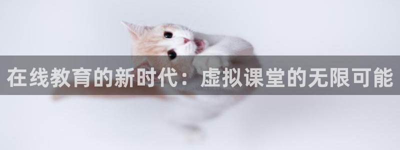 新宝5怎么下载到桌面