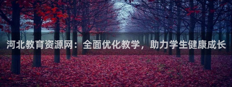 新宝5下载 迅雷下载